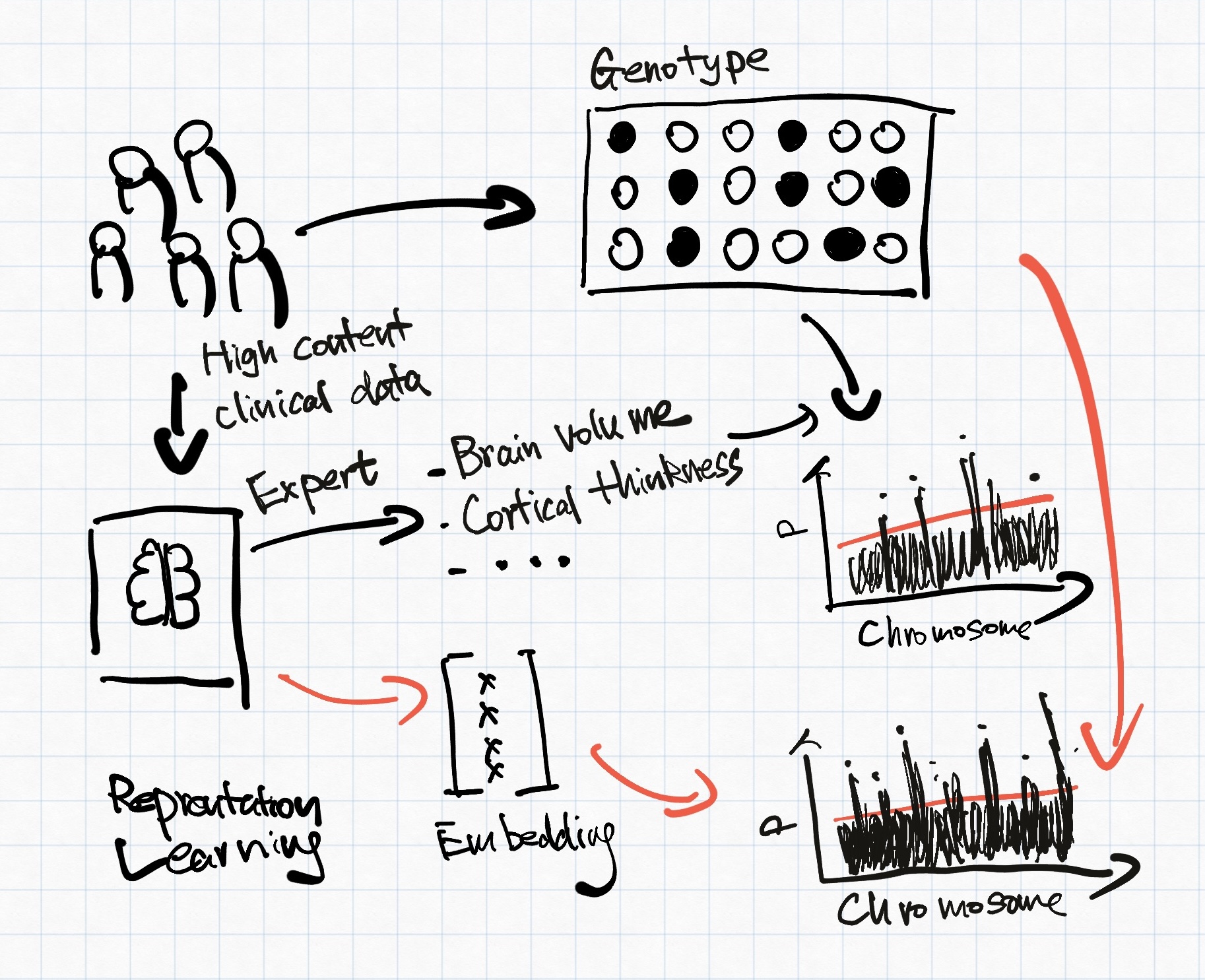 Figure 1: Representation learning for genomic discovery overview